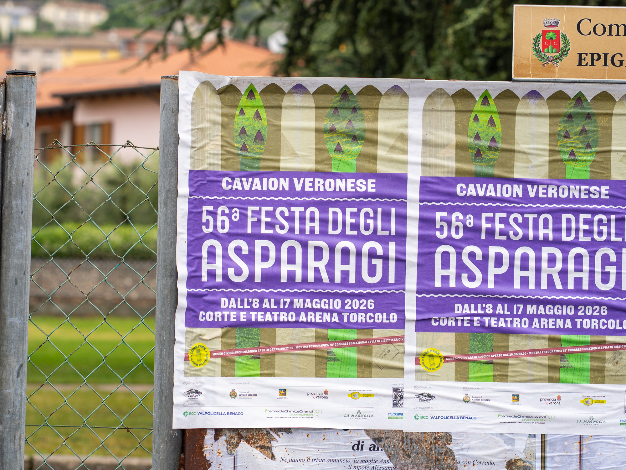FestadegliAsparagiCavaion_1 FestadegliAsparagiCavaion_1