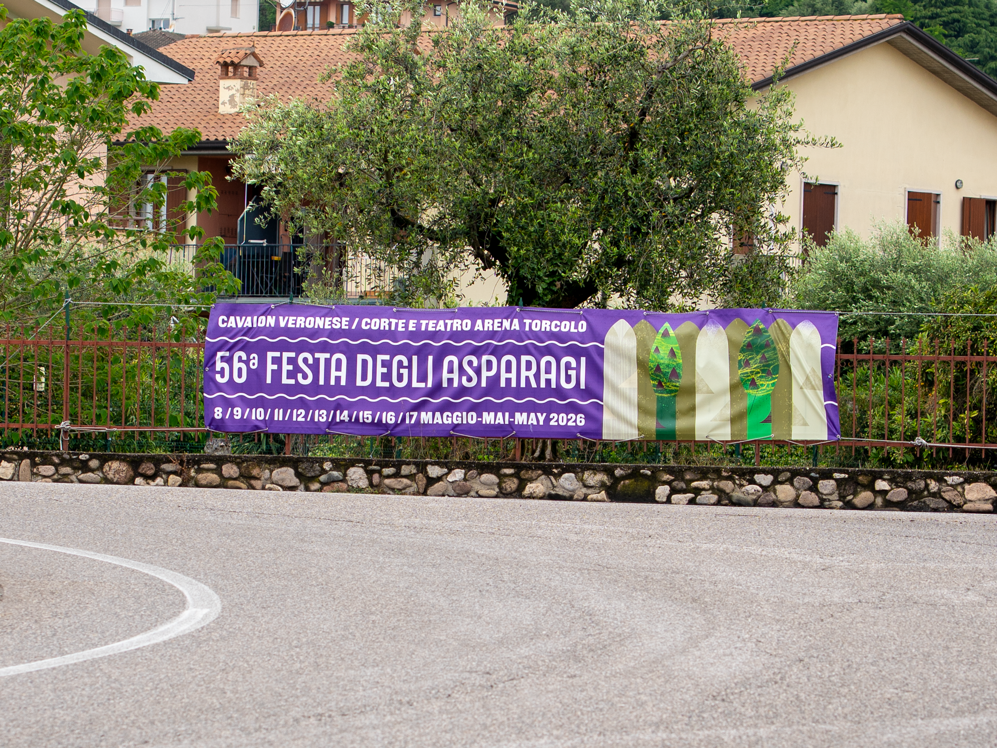 FestadegliAsparagiCavaion_2 FestadegliAsparagiCavaion_2
